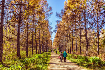 the last warm day of October - Free image #456545